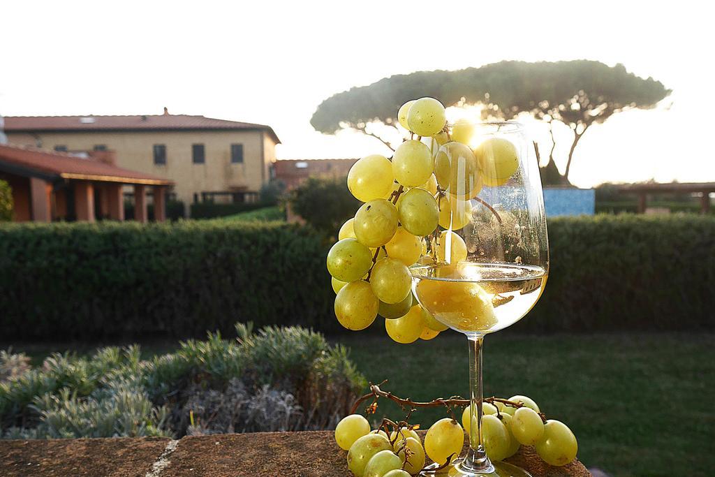 Podere San Giuseppe Aparthotel San Vincenzo