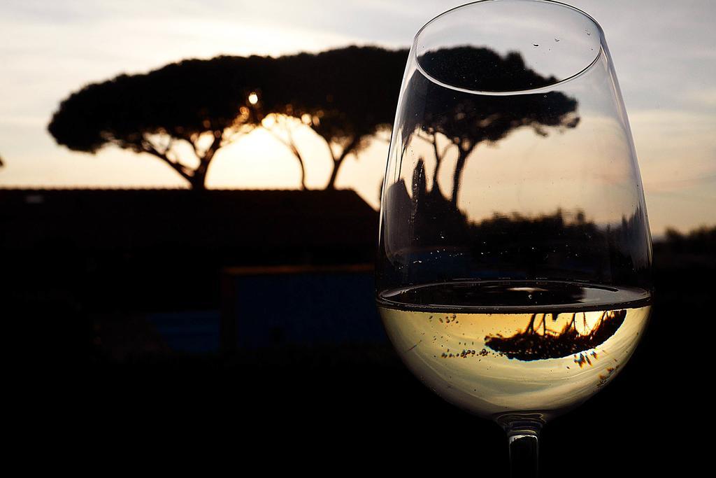 Podere San Giuseppe San Vincenzo